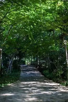 Jurassic Park Otel Las Terrenas